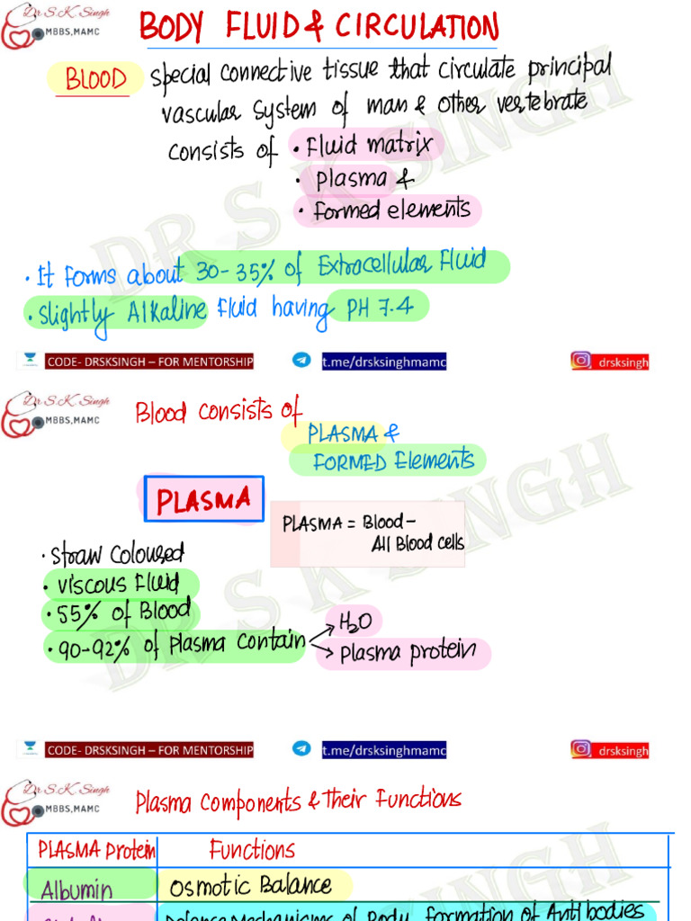 Circulatory System | PDF | Ventricle (Heart) | Atrium (Heart)