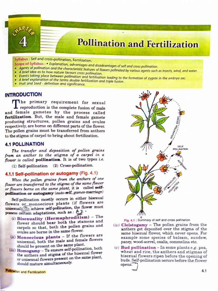 Nucellus and Ovule in Pollination | PDF | Flowers | Pollination