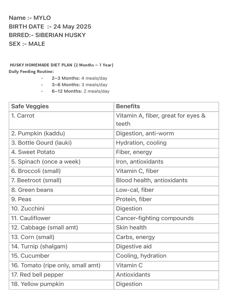Homemade Diet Plan for Siberian Huskies | PDF | Berry | Fruit