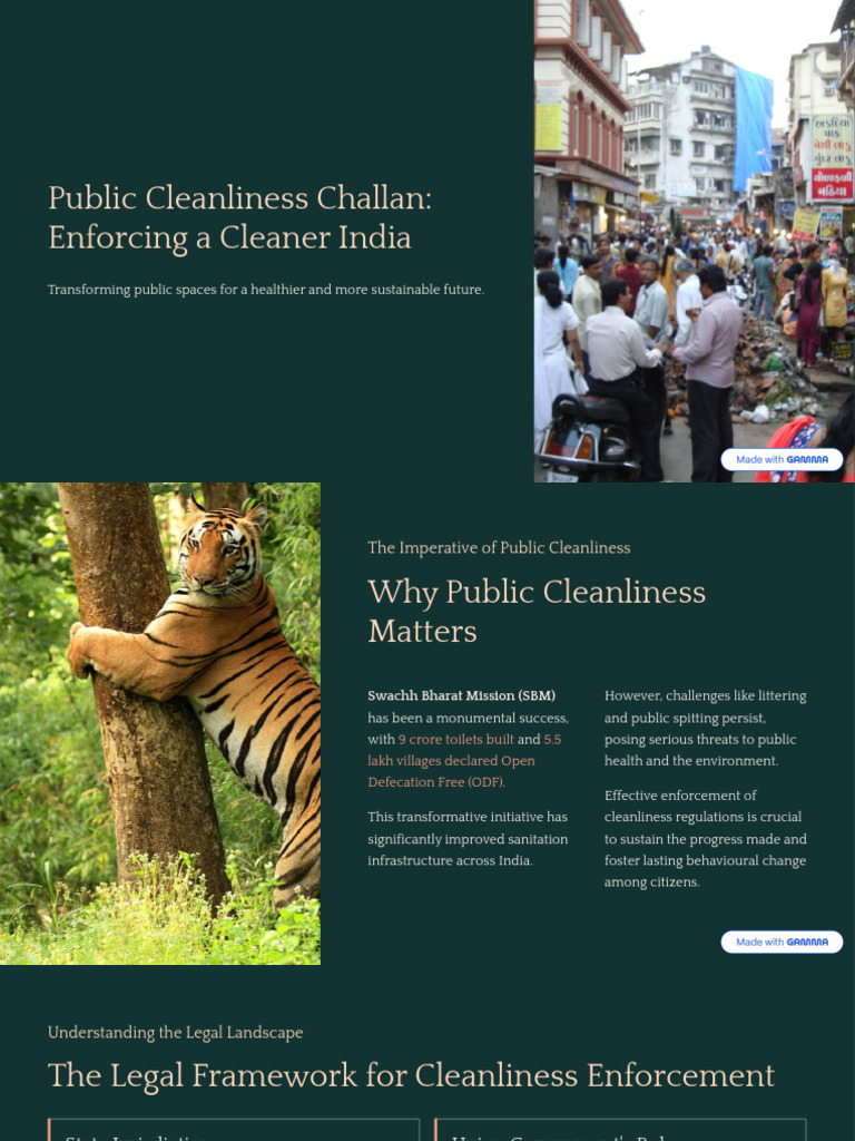 Littering Fines and Public Cleanliness in India | PDF
