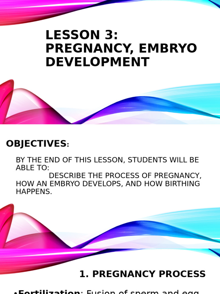 Pregnancy and Embryo Development Guide | PDF