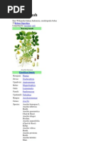 Download Kacang tanah by Erick Estradha SN91898084 doc pdf