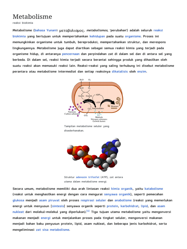 Proses dan Jenis Metabolisme Organisme | PDF