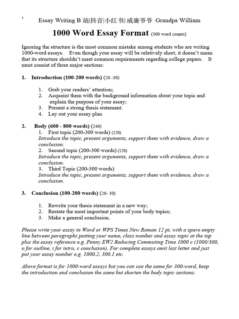 1,000 (300) Word Essay Format | PDF