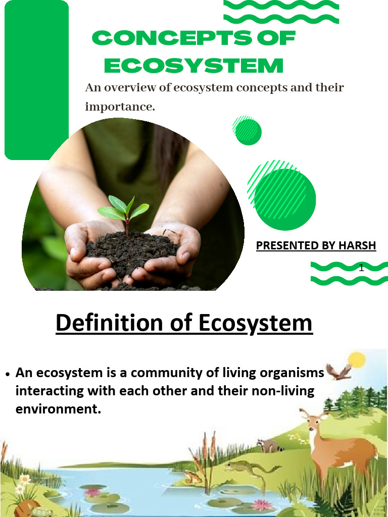 Definition and Concepts of Ecosystem | PDF