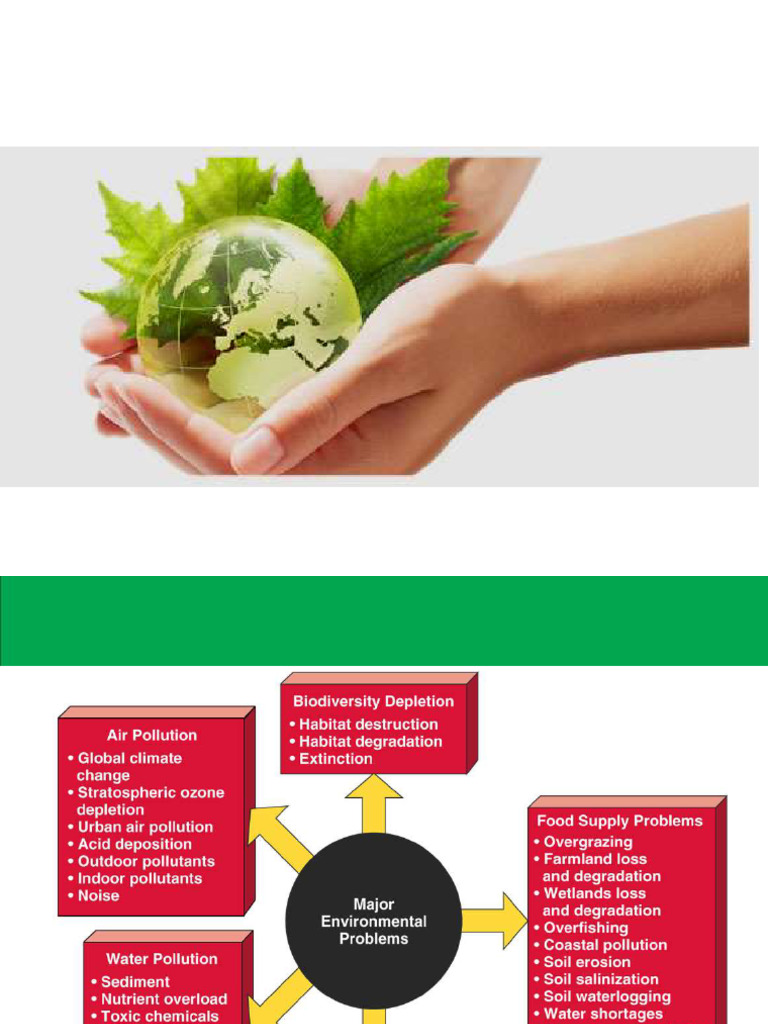 Understanding Environmental Sustainability | PDF | Sustainability ...