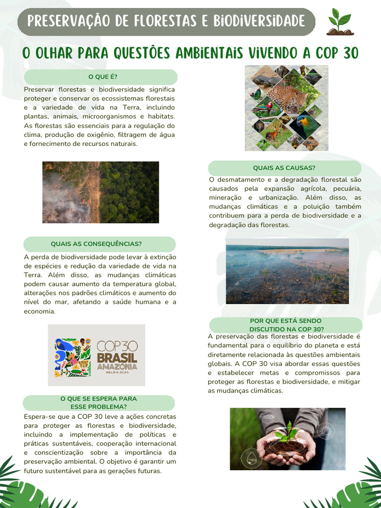 Preservação de Florestas e Biodiversidade - 20250902 - 204645 - 0000 ...