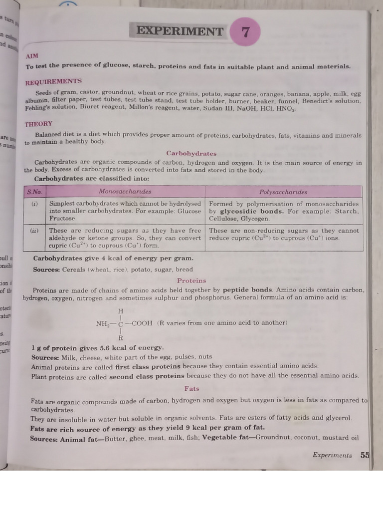 Experiments | PDF