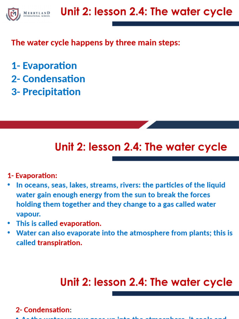 Understanding the Water Cycle Steps | PDF