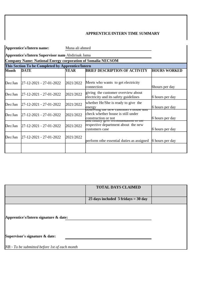 Apprentice Intern Time Summary NECSOM | PDF