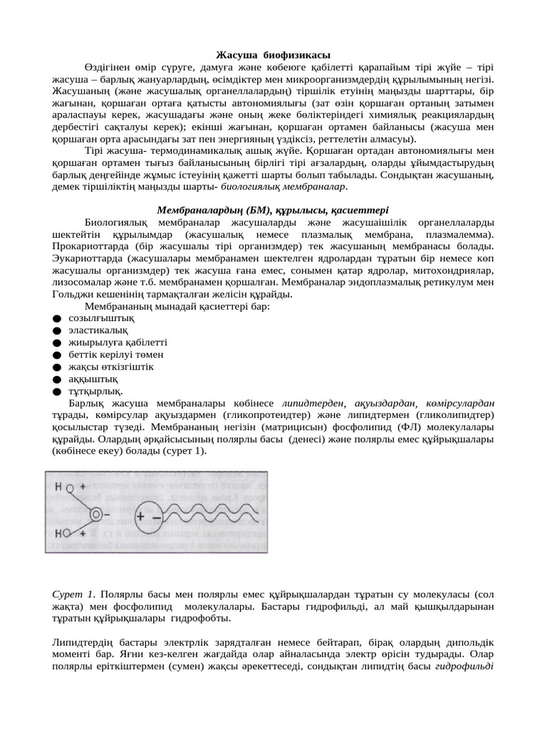Науқас ұлы порнографиялық түрде анасын армандайды.