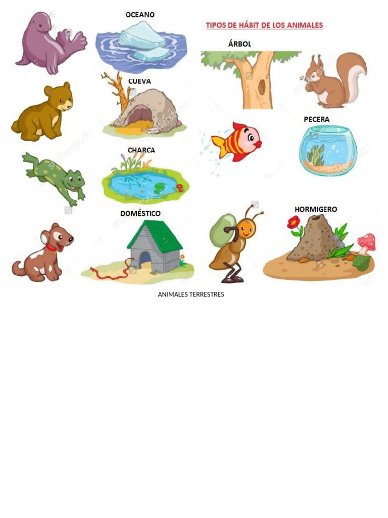 7 Animales y Su Habitat + Animales Salvajes + Plantas Ornamentales y ...
