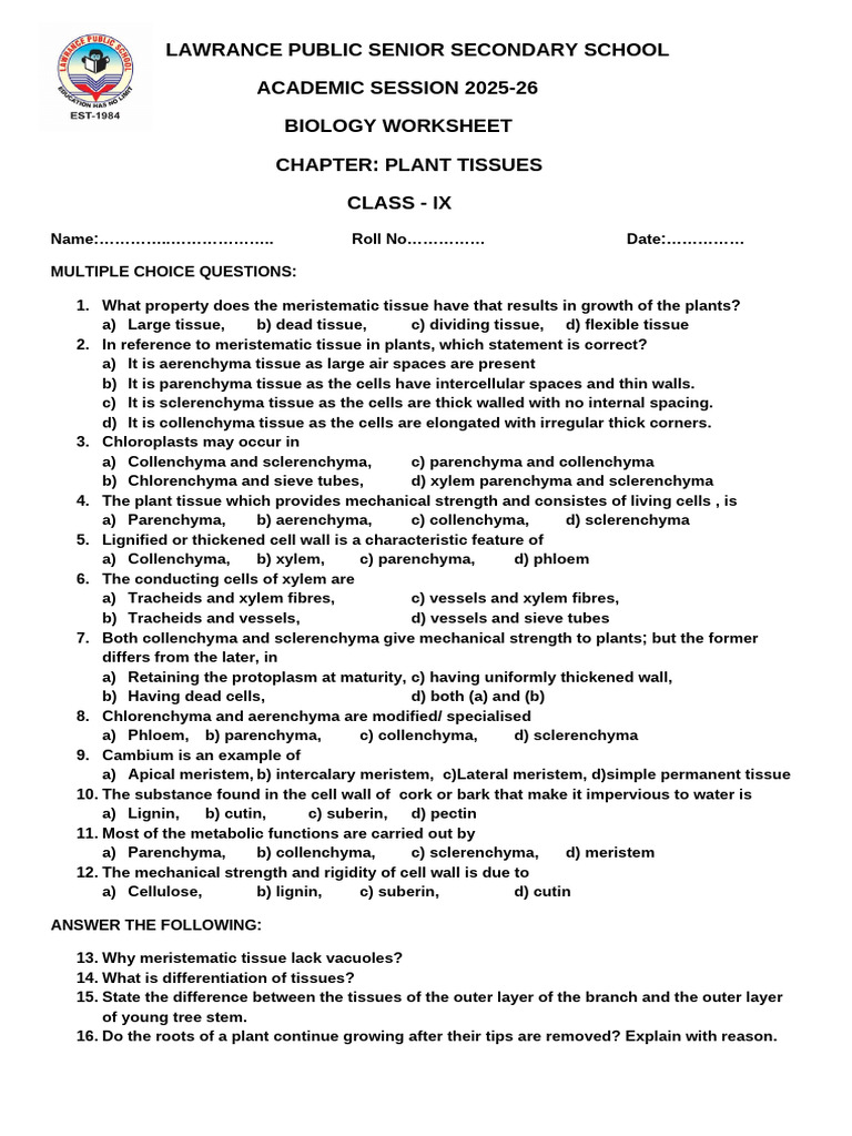 Class 9 Plant Tissue Worksheet | PDF | Tissue (Biology) | Botany