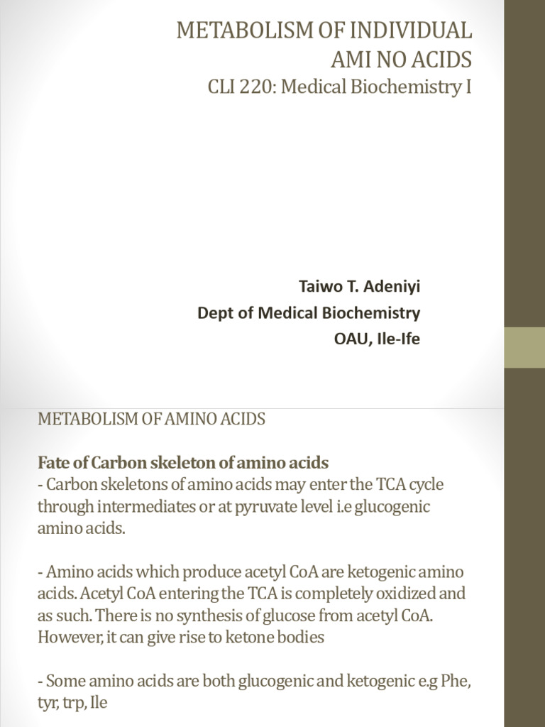 Metabolism of Individual Amino Acids PDF | PDF | Glycine | Tyrosine