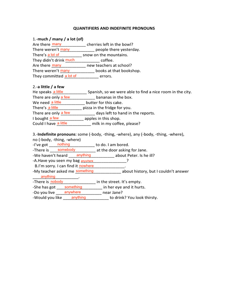 Understanding Quantifiers and Pronouns | PDF
