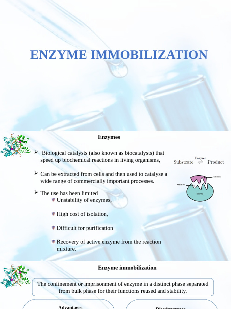 Enzyme Immobilization Techniques Explained | PDF | Enzyme | Catalysis