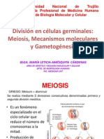 Meiosis y Game To Genesis