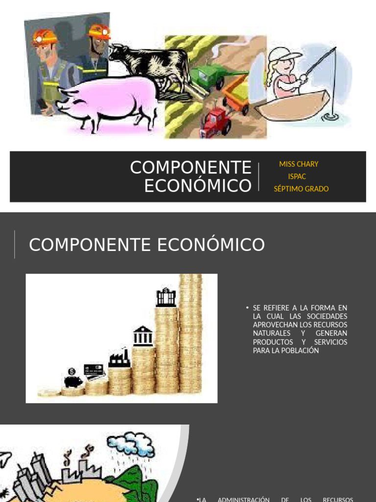 Componente Económico y su Impacto | PDF