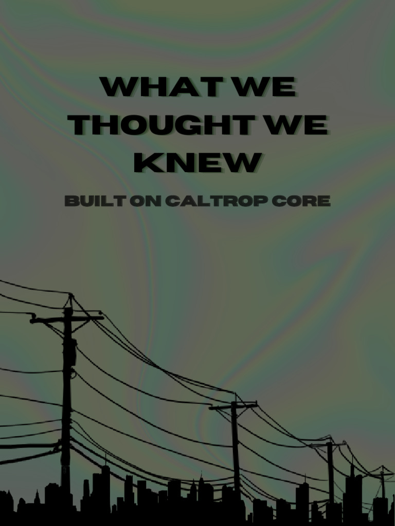 What We Thought We Knew2 PDF