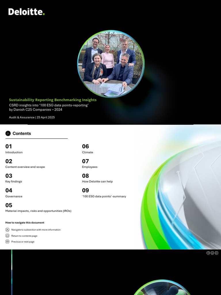 Deloitte Danish | PDF | Business