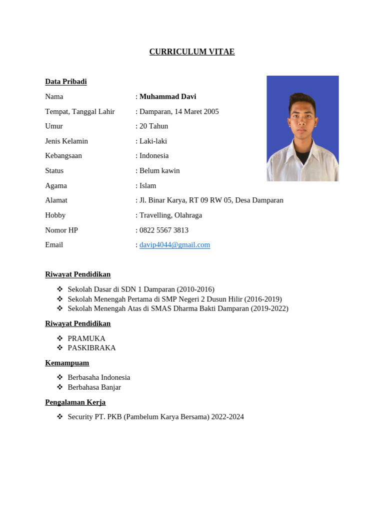 Curriculum Vitae Muhammad Davi | PDF