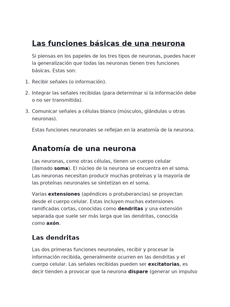 Funciones y anatomía de las neuronas | PDF | Sinapsis | Neurona