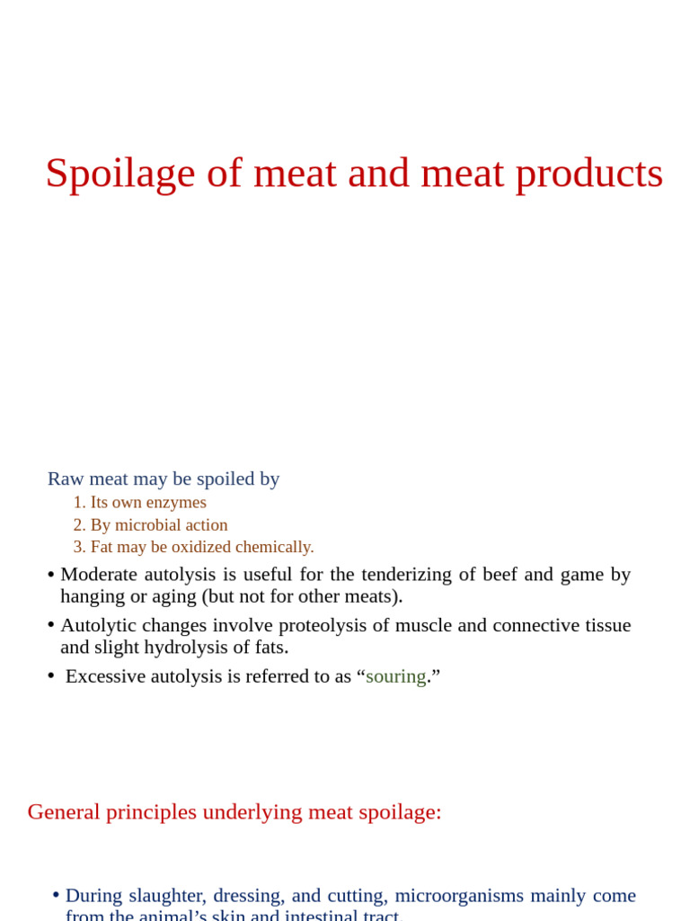 Causes and Types of Meat Spoilage | PDF | Decomposition | Mold