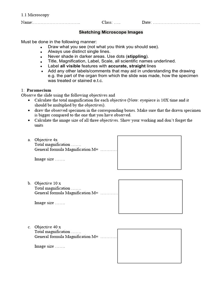 Drawing and Labeling Microscopes | PDF | Microscope | Electron Microscope