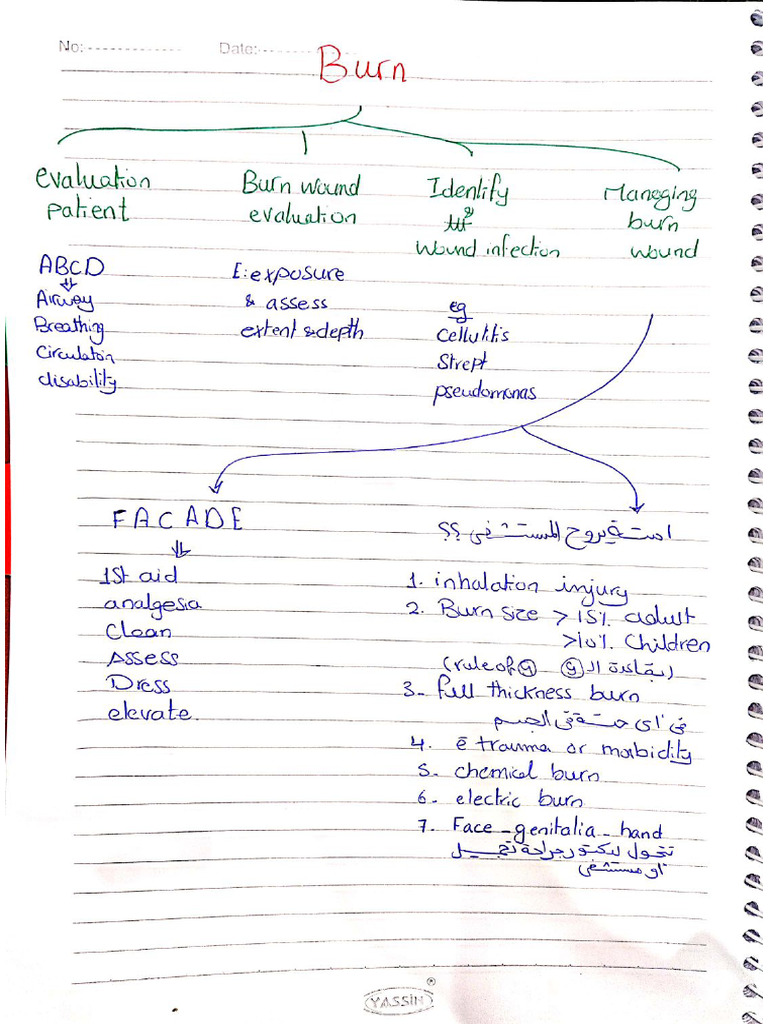 Burn Management | PDF