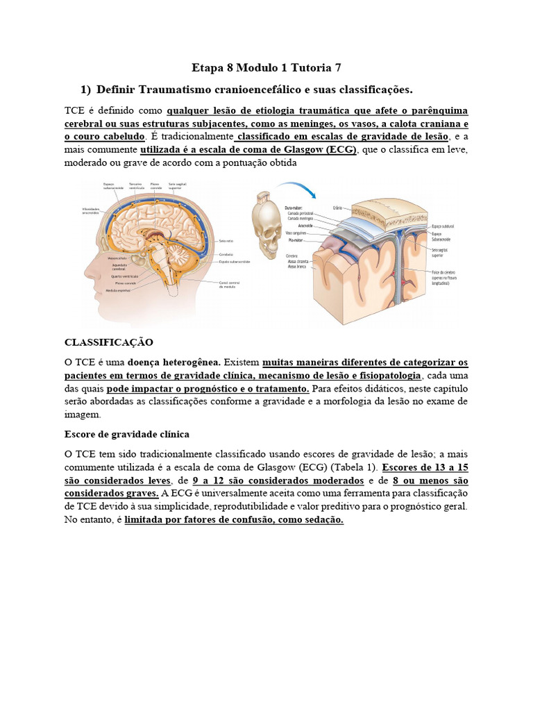 Classificação e Fisiopatologia do TCE | PDF | Traumatismo craniano ...