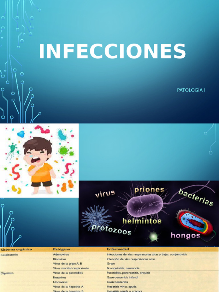 Infecciones Completo | PDF | Sistema inmune | Inflamación