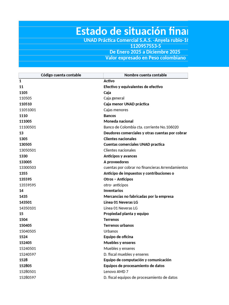 Estado de Situación Financiera | PDF | Contabilidad | Negocios económicos