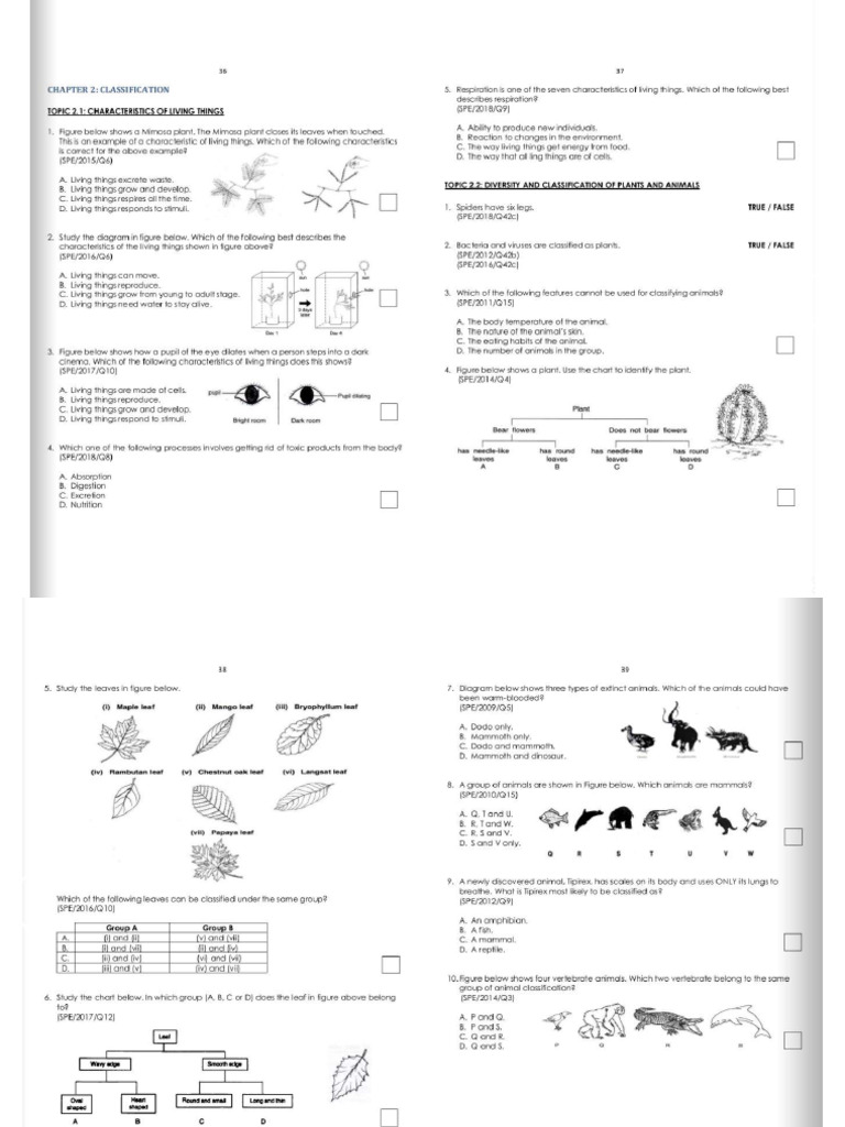 Topic 2 Classification Exam Compile | PDF