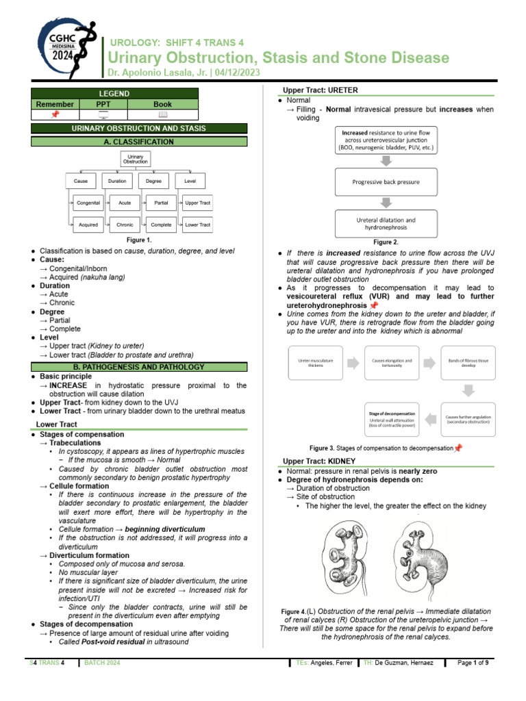 (URO-TRANS) 4.03 Urinary Obstruction, Stasis and Stone Disease | PDF ...