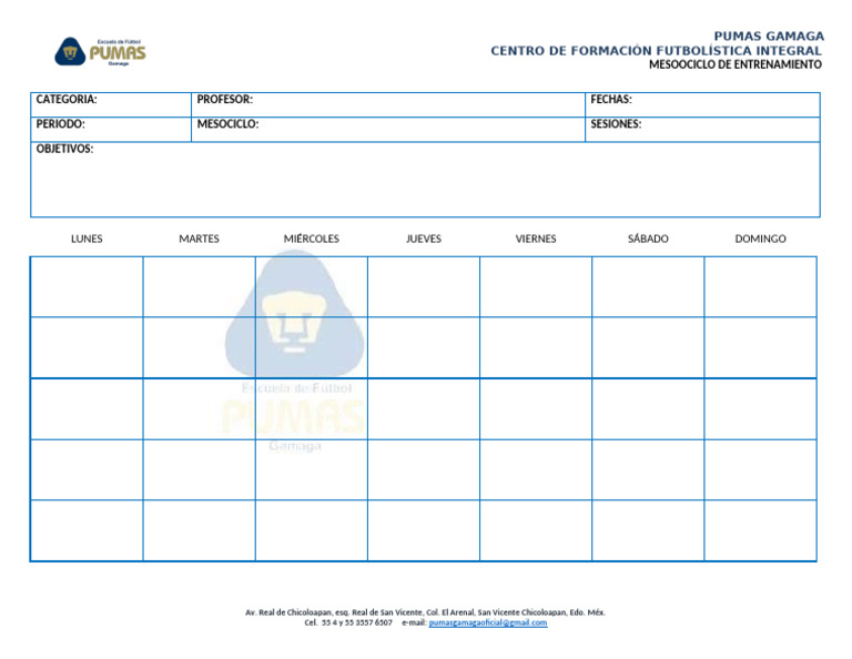 Mesociclo Cuarentena. Pumas Gamaga | PDF