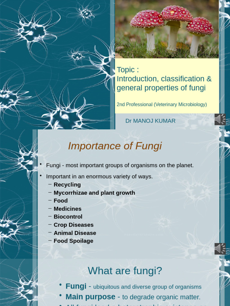 General Properties of Fungi | PDF | Fungus | Mycology
