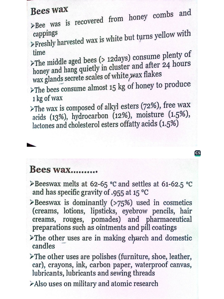 Practical Bee | PDF