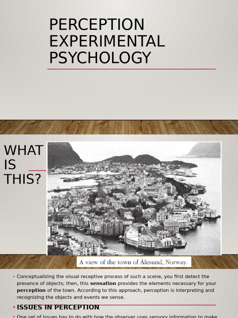 Understanding Perception in Psychology | PDF | Perception | Experience