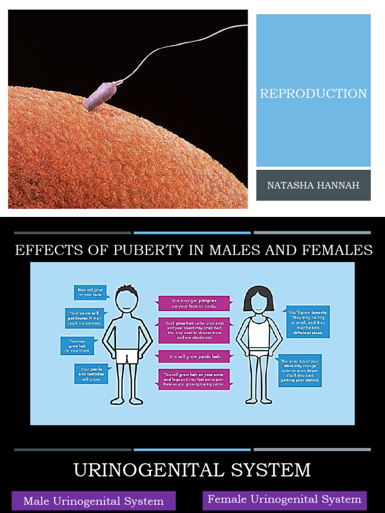 Reproduction | PDF