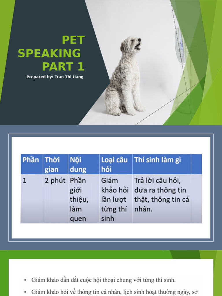 Pet Speaking | PDF