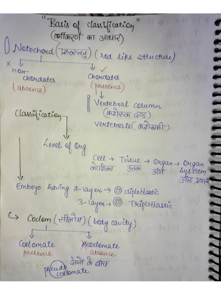 Biology Notes CLASS - 04 | PDF