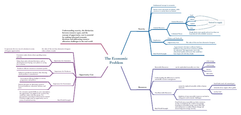 The Economic Problem | PDF | Opportunity Cost | Resource