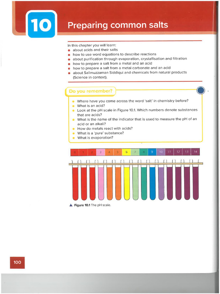 10 - Preparing Common Salts | PDF