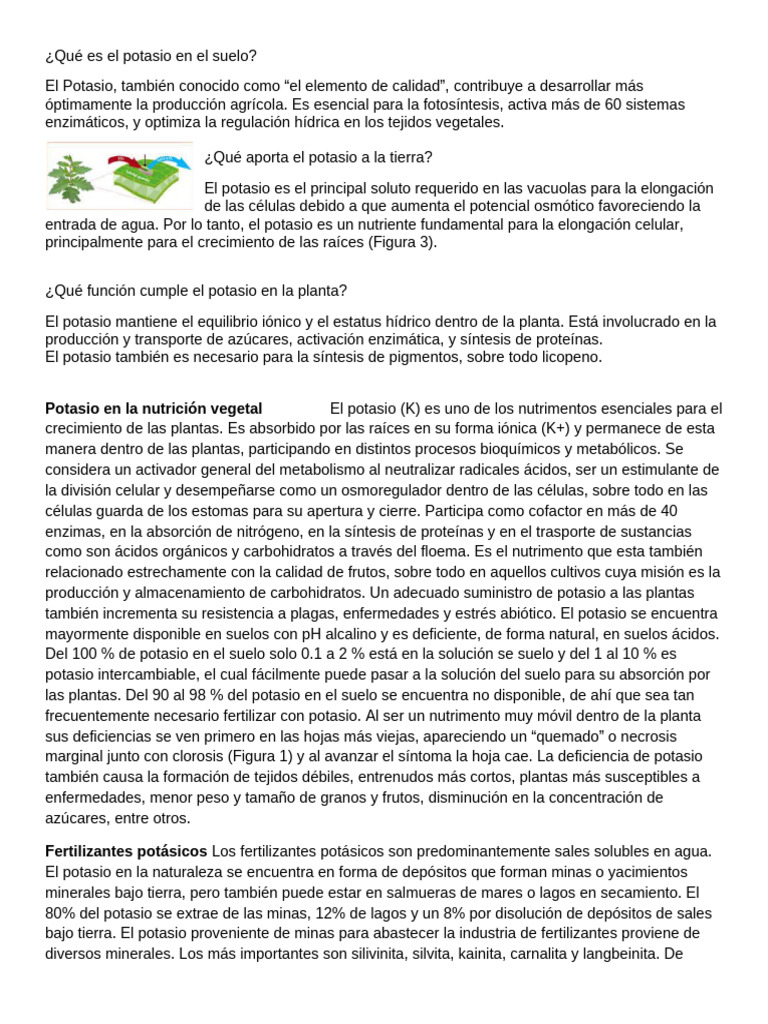 Importancia del potasio en cultivos | PDF | Fertilizante | Nutrientes
