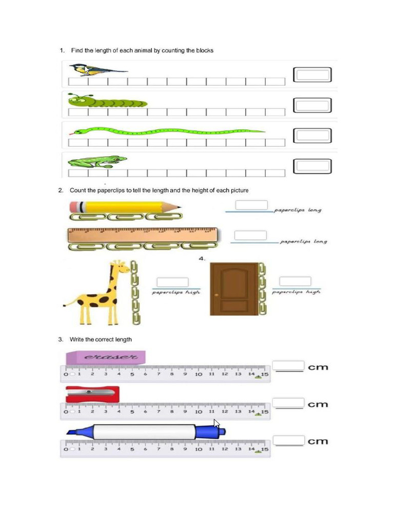 Mat | PDF
