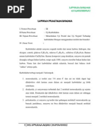 Download Laporan Tetap Karbohidrat Biokimia Dili by Dili Apriana Aksari SN91950603 doc pdf