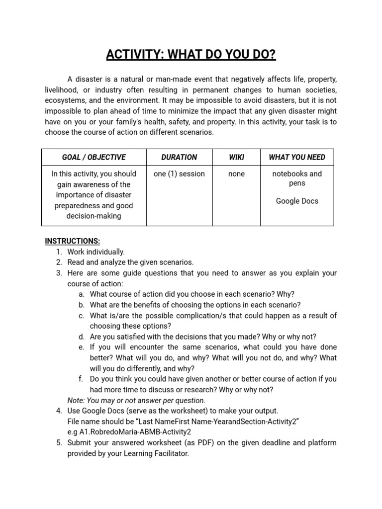 Disaster Preparedness Activity Guide | PDF