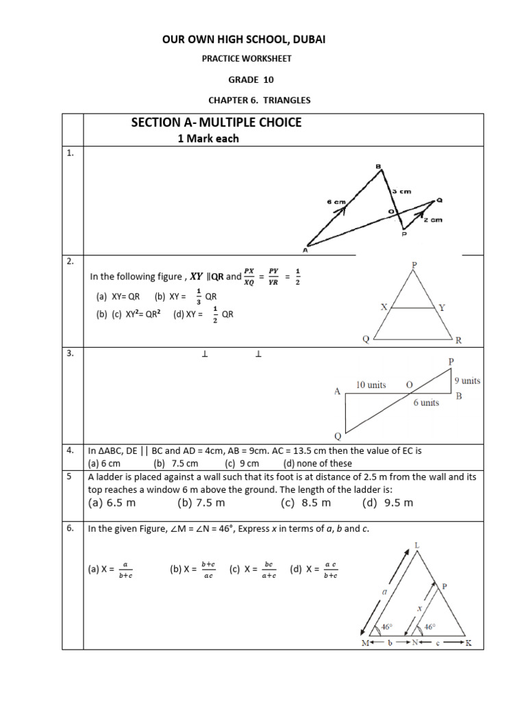 Triangle Practice Worksheet for Grade 10 | PDF | Triangle | Elementary ...