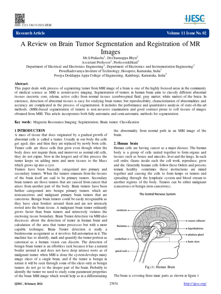 Brain Tumor MRI Segmentation Review | PDF | Image Segmentation | Brain ...