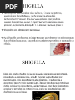 SHIGELLA